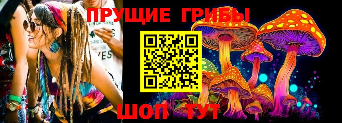 Галлюциногенные грибы Cubensis  Псилоцибиновые грибы Psilocybine cubensis  Вход с VPN  купить  цена  Заводоуковск 